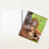 Knuffel van de gekoesterde orang-oetan moeder planner (Display)