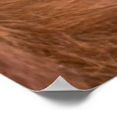 Knuffel van de gekoesterde orang-oetan moeder poster (Hoek)