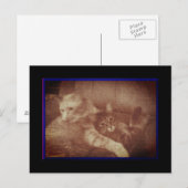 Knuffelen Katten Briefkaart (Voorkant / Achterkant)