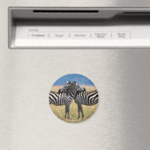 Knuffelen Zebra's Magnet Magneet (Insitu (Vaatwasser))