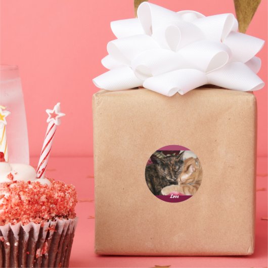 Knuffelende Kittens Stickers (Feest)