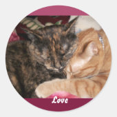 Knuffelende Kittens Stickers (Voorkant)