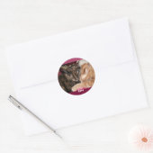 Knuffelende Kittens Stickers (Envelop)