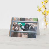 Knuffelige geiten! kaart (Gele Bloem)