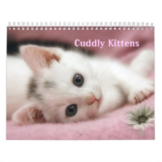 Knuffelige Kittens Kalender