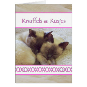 Knuffels en Kusjes, Hug en Kiss in het Nederlands