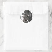 Knuffels Sticker (Tas)