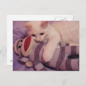 knuffels voor je briefkaart (Voorkant / Achterkant)