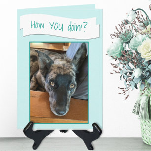Knuffige Hond Met Grote Oren Foto Placeholder Kaar Kaart