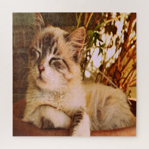 Knuffige Slaapkat Legpuzzel