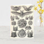 Knuppels Ernst Haeckel - Chiroptera Kaart (Gele Bloem)