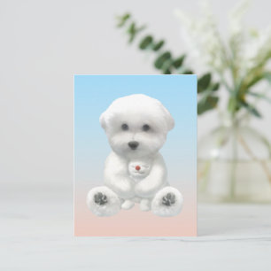 Knus Gemiddeld Moment: Lachende Bichon die Mini Pu Aankondigingskaart
