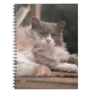 Knus slapende pluizige kat notitieboek