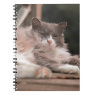 Knus slapende pluizige kat notitieboek