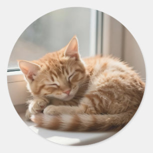Knusge Sinaaspoes Zonnebaden Slaap Ronde Sticker