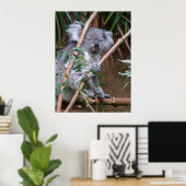 Koala 14 poster (Thuiskantoor)