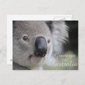 Koala 2 - Groeten Briefkaart (Voorkant / Achterkant)