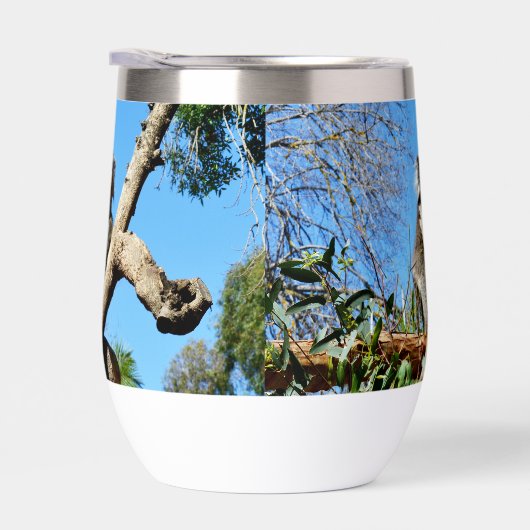 Koala A Le Temps De Réfléchir À La Vie, (Droite)