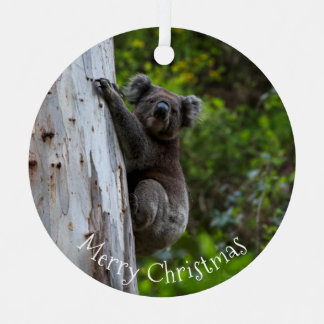 Koala Australia Merry Christmas Metalen Ornament