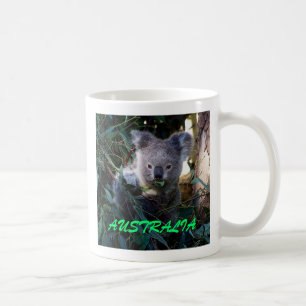 Koala, AUSTRALIË Koffiemok