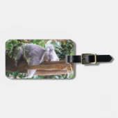 Koala Bagagelabel (Voorkant horizontaal)
