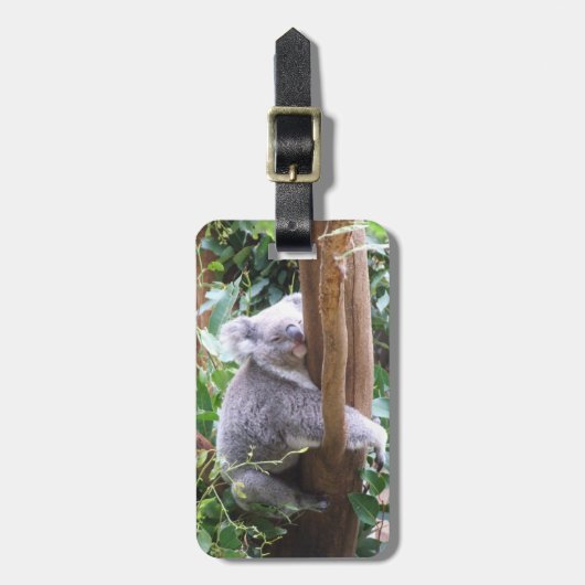 Koala Bagagelabel (Voorkant verticaal)