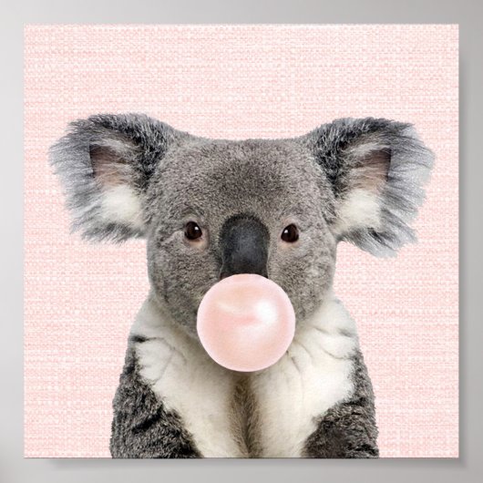 KOALA BEAR BLAAST EEN ROZE KAUWGOM POSTER (Voorkant)