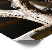 Koala Bear Dans Cubby House, Poster (Coin)