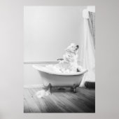 Koala Bear dans la baignoire Poster (Devant)