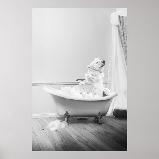 Koala Bear dans la baignoire Poster (Devant)