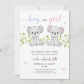 Koala Bear Genre Reveal Party Invitation (Devant)