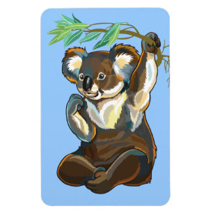 koala bear magneet