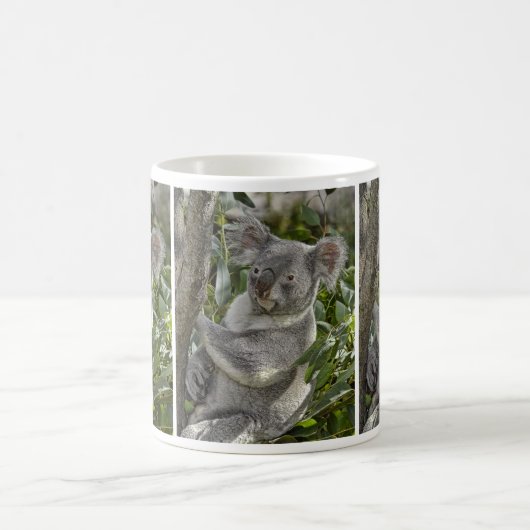Koala Beer 2 Mok (Center)