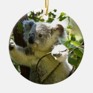 Koala Beer Aussi Safari Peace Love Natuur Destiny Keramisch Ornament