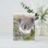 Koala Beer Briefkaart (Staand voorkant)