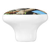 Koala Beer de zin van het leven, Keramische Knop (Zijkant)