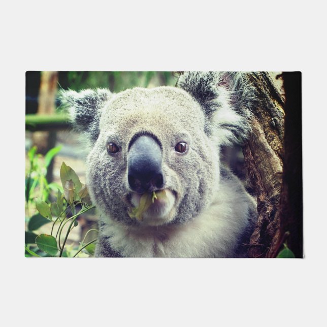 Koala Beer Deurmat (Voorkant)