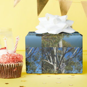 Koala-Beer die in de gomboom slapen, Cadeaupapier
