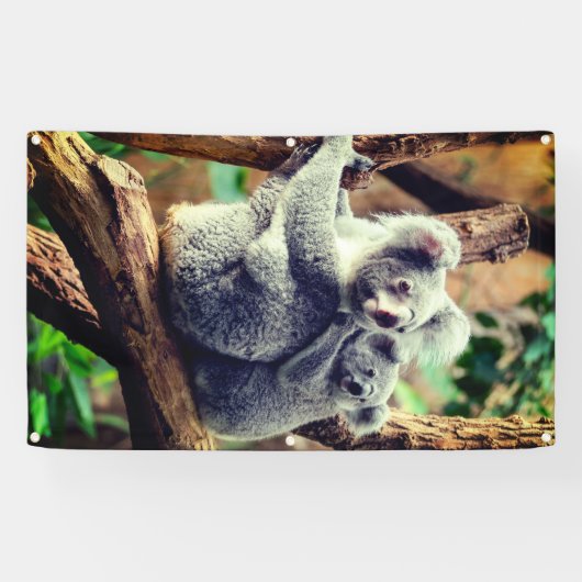 KOALA BEER EN CUB BANNER MET GROMMETS (Horizontaal)