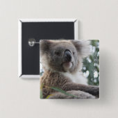 Koala Beer Facts Square Pin Vierkante Button 5,1 Cm (Voorkant /achterkant)