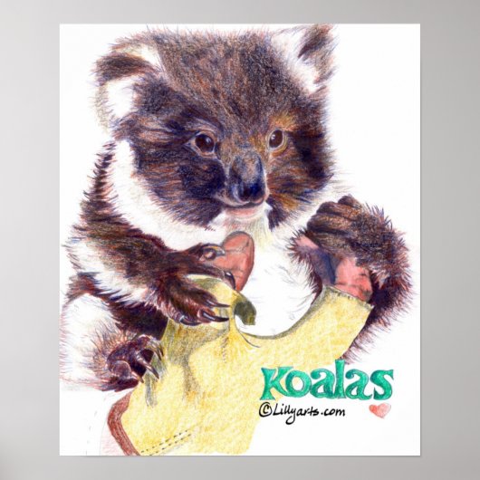 Koala Beer Fine Art Print en Poster (Voorkant)