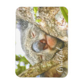 Koala Beer Gratitude Magneet (Verticaal)