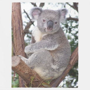 Koala-Beer in Blanket van Tree Fleece Deken
