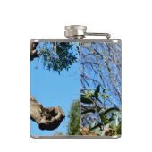 Koala-Beer in de oude boom, heupkolf Heupfles (Achterkant)