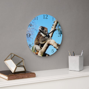 Koala Beer in oude dennenboom, Grote Klok