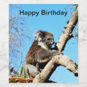 Koala Beer in oude dennenboom, Wijn Etiket (Enkel label)