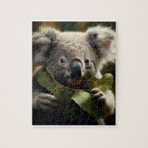 Koala Beer