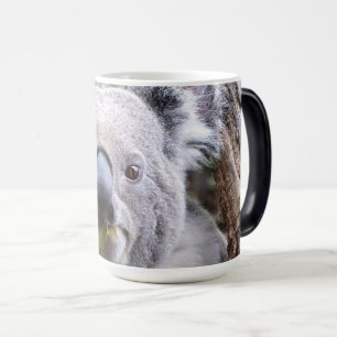 Koala Beer Magische Mok