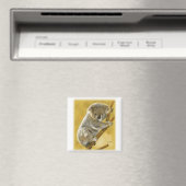 Koala Beer Magneet (Insitu (Vaatwasser))