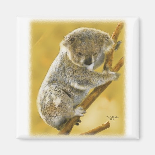 Koala Beer Magneet (Voorkant)